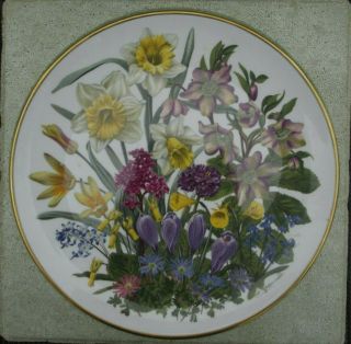 Franklin Flowers Of The Year Plate March C 1977 Signed Leslie Greewood Wedgewood