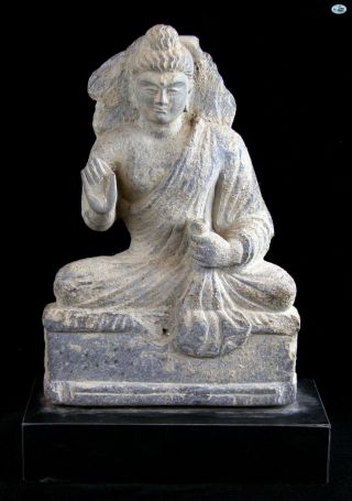 Fine Ancient Gandharan Kushan Period Tall Buddha Figurine Statue 2nd - 3rd Century