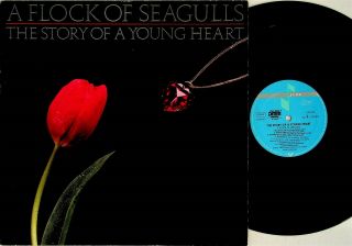 Flock Of Seagulls - Story Of A Young Heart Lp (1984 Vinyl Germany Dmm Ex -)