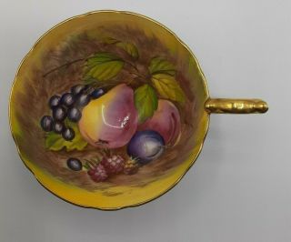 Anysley Orchard Fruit Fully Painted Bowl Burgundy Red Teacup And Saucer