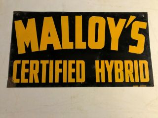 Vintage Malloys Certified Hybrid Sign Seed Corn Farm Ag Advertising Old