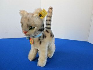 Vintage Steiff Tabby Cat Lizzy Kitten Mohair 2718/.  15 All Id 1960s 7 "