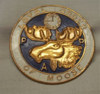 Vintage 1930s Enamel On Bronze Car Emblem Loyal Order Of Moose Badge Pap