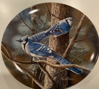The Blue Jay By Kevin Daniel - Knowles Collector 