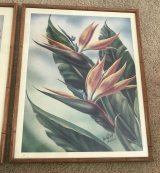 2 vintage ted mundorff Air Brush Signed Bird Of Paradise / Orchid.  Framed. 2