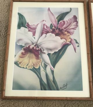2 vintage ted mundorff Air Brush Signed Bird Of Paradise / Orchid.  Framed. 3
