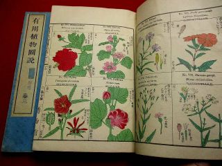 2 - 30 Japanese Botanical Yuyo Woodblock Print 2 Book S