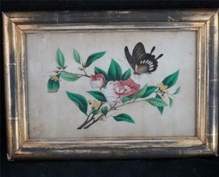 Antique Chinese Qing Period Silk Pith Picture Watercolour Painting Butterfly B
