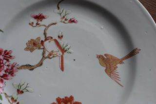 Antique Chinese porcelain plate first half of 18th C Yongzheng / Qianlong 2 3