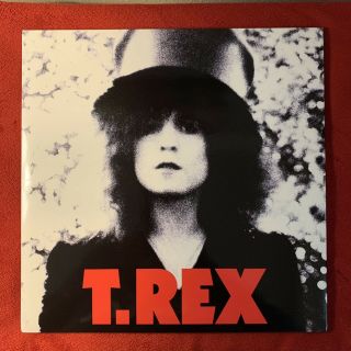 T.  Rex The Slider Vinyl Lp 2010 Fat Possum Records 180g