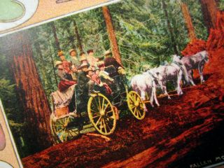 Postcard Panama Pacific Exposition San Francisco 1915 Christmas California 2284 2