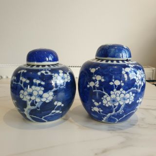 (b) Two Good Chinese 19th C Kangxi Style Blue & White Prunus Jars