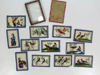 12 Antique Chinese Birds Paintings Pictures On Pith Rice Paper,