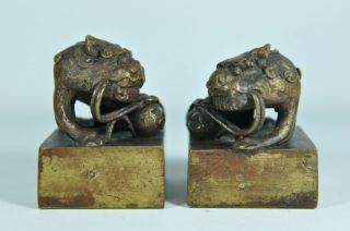 Pair Fine Old Chinese Japanese Gilt Gold Bronze Foo Dog Seal Chop Scholar Art