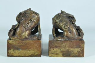 Pair Fine Old Chinese Japanese Gilt Gold Bronze Foo Dog Seal Chop Scholar Art 3