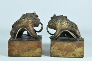 Pair Fine Old Chinese Japanese Gilt Gold Bronze Foo Dog Seal Chop Scholar Art 4