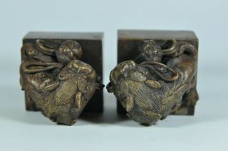 Pair Fine Old Chinese Japanese Gilt Gold Bronze Foo Dog Seal Chop Scholar Art 5