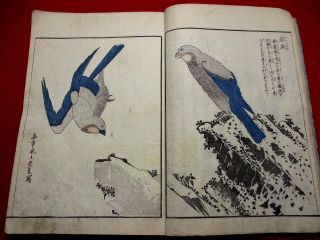 1 - 15 Hokusai Ukiyoe Nikko4 Japanese Woodblock Print Book