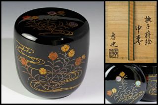 Japanese Tea Caddy Natsume With Wooden Box " Maki - E Nadeshiko/ Dianthus " Wood