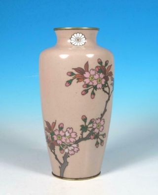 Ando Japanese Cloisonne Taisho Period Silver Wire Vase Prunus Blossoms Signed