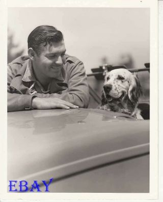 Clark Gable In Car W/his Dog Snooper Candid C.  S.  Bull Vintage Photo