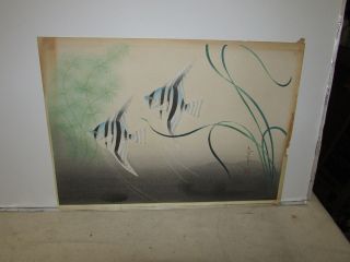 Old Or Antique Japanese Woodblock Print With Tropical Fish