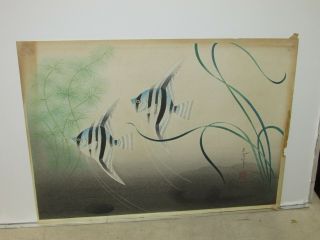 Old or Antique Japanese Woodblock Print with Tropical Fish 3