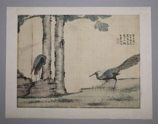 Antique Chinese Painting On Silk Of Birds In A Landscape With Seals Calligraphy