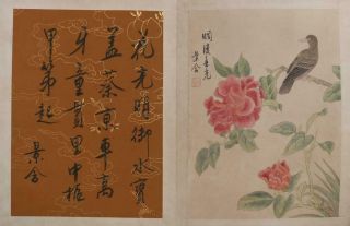 560CM Ma Jiatong Signed Old Chinese Hand Painted Calligraphy Scroll 2