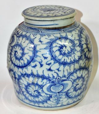 Chinese Antique Blue And White Ginger Jar Kangxi Qing Dynasty,  1654 - 1722
