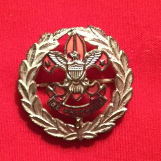 Boy Scout Executive Collar Pin
