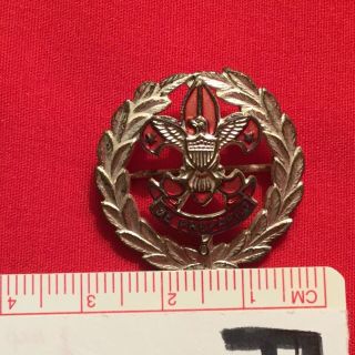 Boy Scout Executive Collar Pin 2