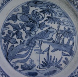 Large Antique Chinese Ming Dynasty Blue & White Porcelain Dish - Phoenix 2