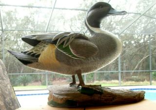 Vintage Ducks Unlimited Decoy Pintail Duck On Stand Painted By Roger Desjardins