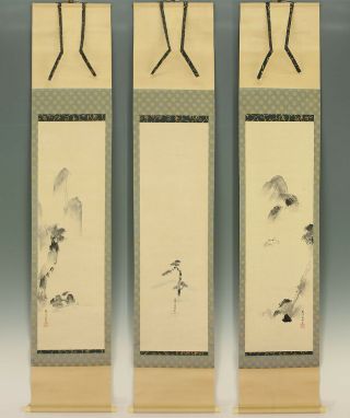 掛軸1967 Hanging Scrolls : Kano Shosenin Tadanobu " Mountain Landscape " W/box @f794