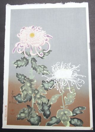 Bakufu Ohno Chrysanthemum Pink And White Blossom Japanese Woodblock Print 1950