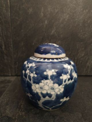 Antique Chinese Kangxi Qing Dynasty Blue & White Prunus Ginger Jar