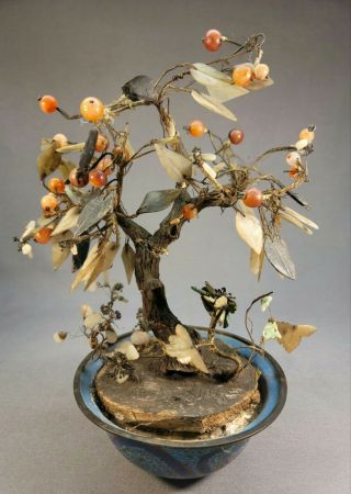19th C.  Antique Chinese White Jade Carnellion Bonsai Tree Dragon Cloisonne 12 "