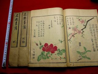1 - 20 Japanese Chinese Pictures Meisu Woodblock Print 3 Book