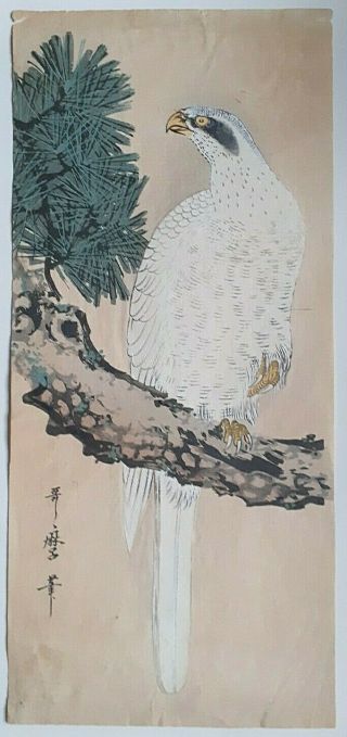 White Falcon / Eagle By Kitagawa Utamaro : Japanese Woodblock Print