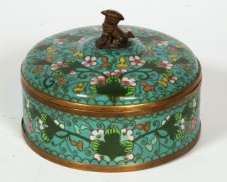 Antique Unusual Blue Green Chinese Cloisonne Round Box With Foo Dog Handle