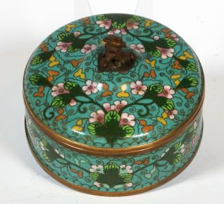 Antique Unusual Blue Green Chinese Cloisonne Round Box With Foo Dog Handle 2
