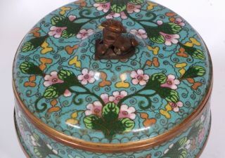 Antique Unusual Blue Green Chinese Cloisonne Round Box With Foo Dog Handle 3