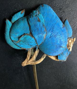 antique Chinese Qing Dynasty 19th Century hair pin ornament kingfisher feather 3
