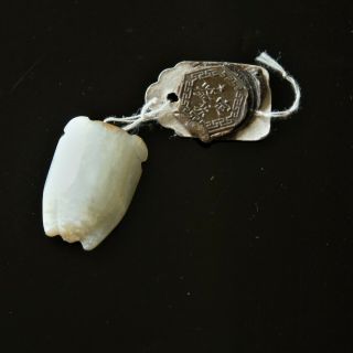 Antique Chinese Carved Cicada White Jade Pendant Charm
