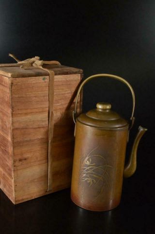 X1230: Japanese Flower Poetry Sculpture Copper Bottle Teapot Dobin,  W/signed Box