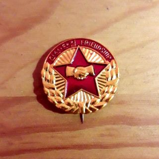 Dprk North Korea Badge Pin.  Friendship