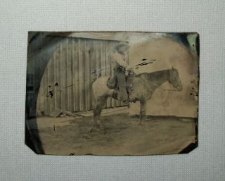 Old Antique Vtg Ca 1800s Tintype Photo Cowboy On Horse Back Image