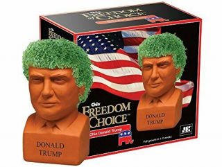 Chia Pet Planter - Freedom Of Choice Donald Trump - Determined