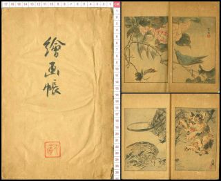 Meiji Hand Drawn Illustrated Book Bird & Flowers Japanese Antique